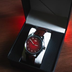 Devnagari MW Maroon - Silver